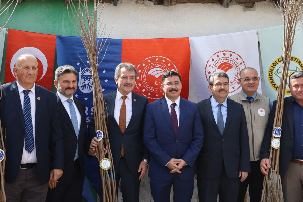 Mudanyalı çiftçiye Trabzon hurması desteği