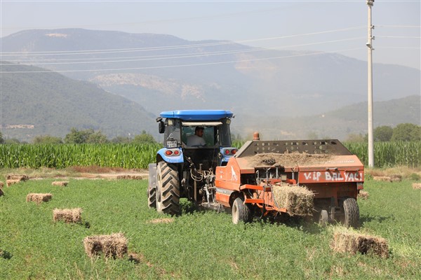 Muğla’da 434 dekar arazi kaba yem üretim merkezi haline getirildi