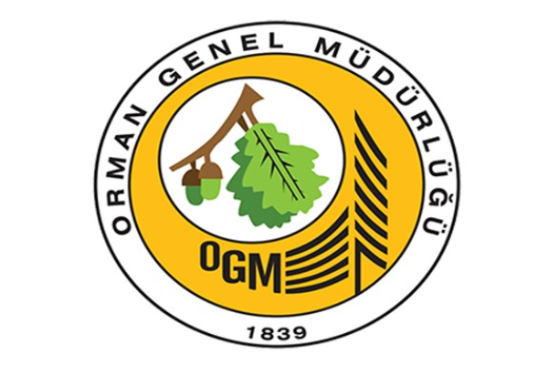 Muğla'daki orman  yangını kontrol altına alındı