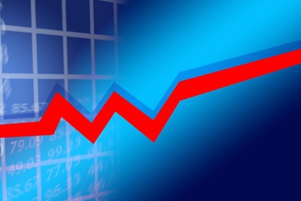 Pamel'in faaliyet raporu