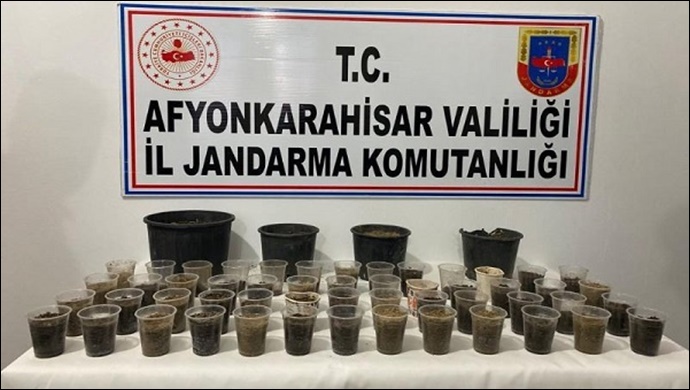 Pet bardak ve saksılara kenevir eken kişi yakalandı