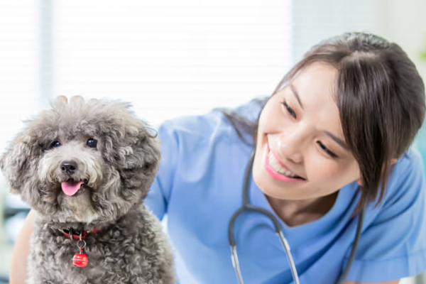 Royal Canin Türkiye, geleceğin kadın veteriner hekimlerine STEM destekli yetkinlikler kazandırıyor 