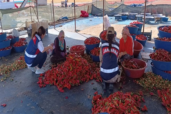 Şanlıurfa'da KADES eğitimi verildi