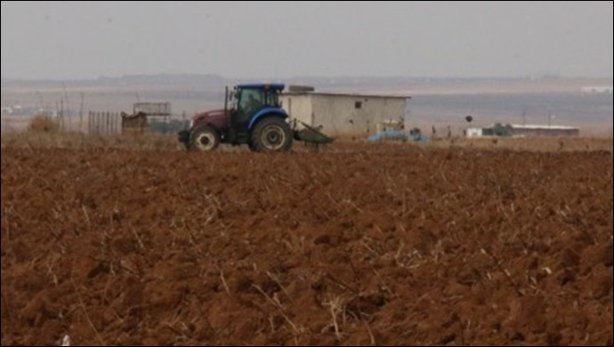Şanlıurfa-Suruç yine susuz ve kurak: DSİ tarımı bitirecek