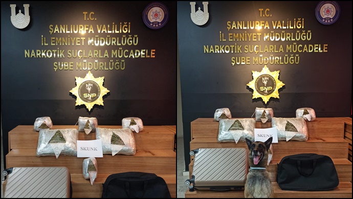 Şanlıurfa’da 10 Kilo 600 Gram Skunk Ele Geçirildi: 1 Şüpheli Yakalandı