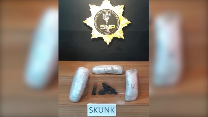 Şanlıurfa'da 4 kilo Skunk maddesi ele geçirildi
