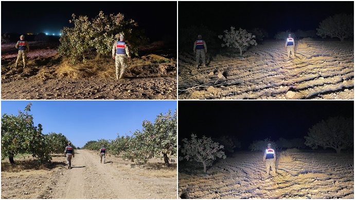 Şanlıurfa'da Fıstık Hırsızlıklarına Karşı 24 Saat Kesintisiz Devriye