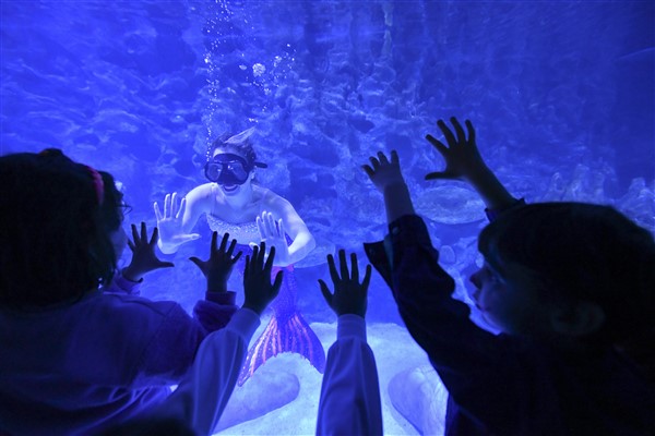 SEA LIFE ve LEGOLAND Discovery Centre’da şenlikli sömestir