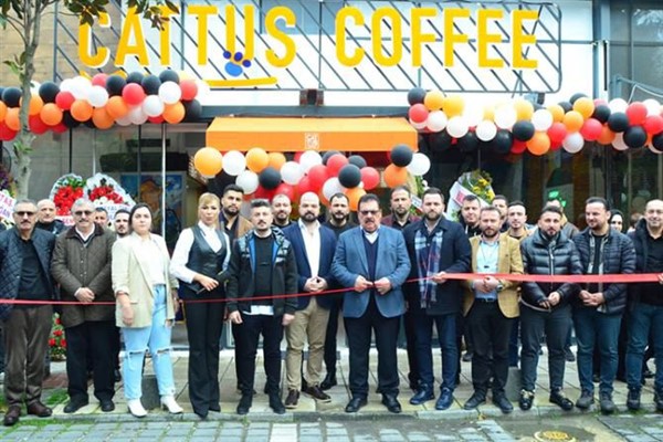 Sosyal proje kafesi, Cattus
