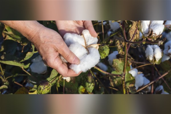 Su kıtlığına dikkat çeken gömlek koleksiyonu üretilmeye başlandı