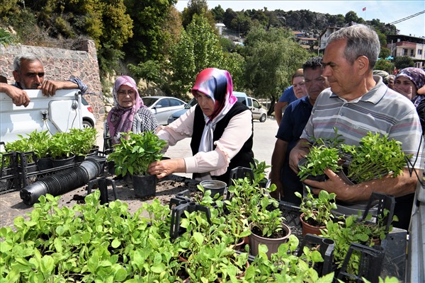 Tarıma 4,5 milyon “Atalık destek”
