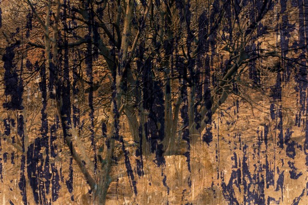“Traces of Fire” by Şebnem Ünlü sergisi Maslak’ta