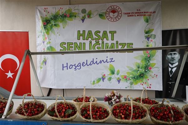 Türkiye 80 bin ton kiraz ihracatı hedefliyor
