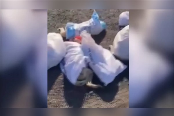Uzunköprü'de çöplükte ölü köpekler bulundu