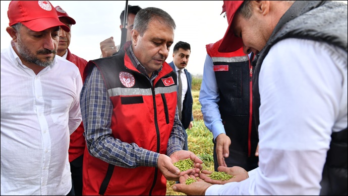 Vali Hasan Şıldak, Firik Hasadına Katıldı