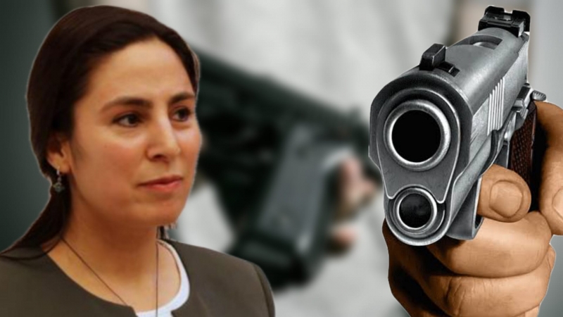 Vekil Sürücü, Şanlıurfa’daki intiharlar için Meclis’i göreve çağırdı