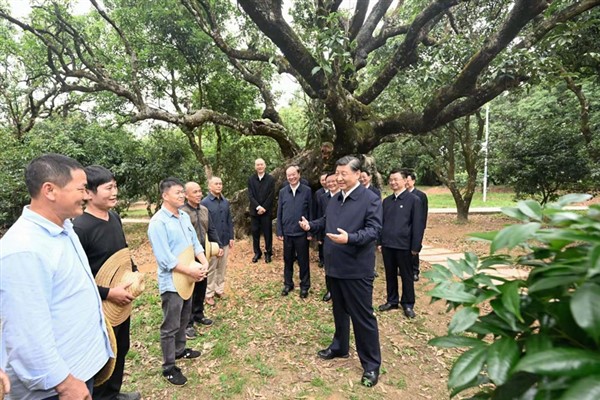 Xi Jinping, Maoming kentinde