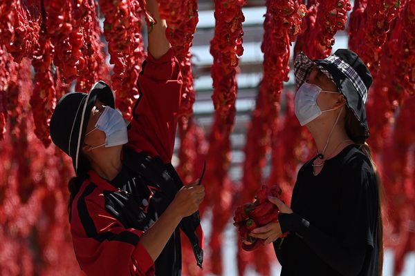 Xinjiang’da yoksullukla mücadele sonuçları pekiştiriliyor