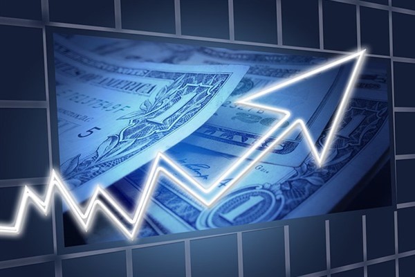 Yayla Agro'nun 6 aylık rakamları